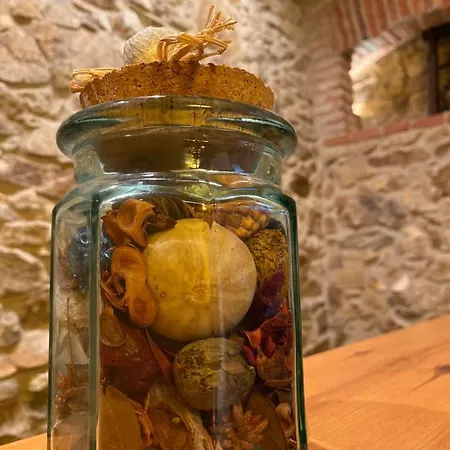 Masia Gemenut, A 5o Metros Del Mar Платья-де-Аро